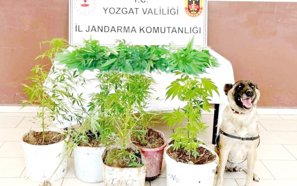 Yozgat İl Jandarma Komutanlığı,