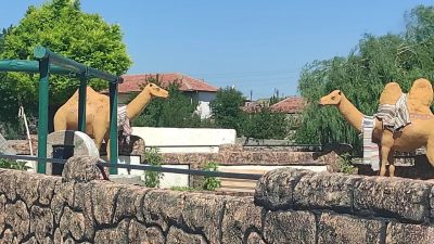 Devecipınar Köyü Geleneksel Birlik ve Beraberlik Festivali 4 Ağustos 2024