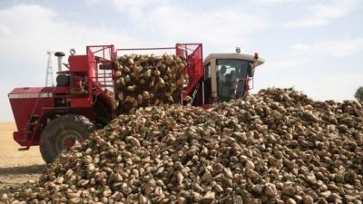 Kayseri Şeker Fabrikası Boğazlıyan Pancar Bölge Müdürlüğü'nden Çiftçilere Önemli Uyarı: