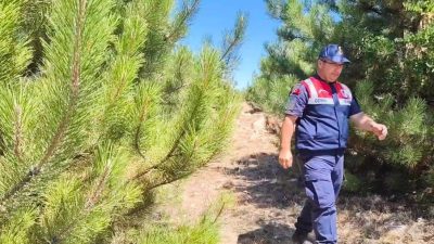 Yozgat İl Jandarma Komutanlığı'ndan Orman ve Anız Yangınlarına Karşı Kapsamlı