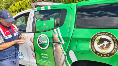 Yozgat İl Jandarma Ekipleri Yaralı Florya Cinsi Yavru Kuşu Kurtararak