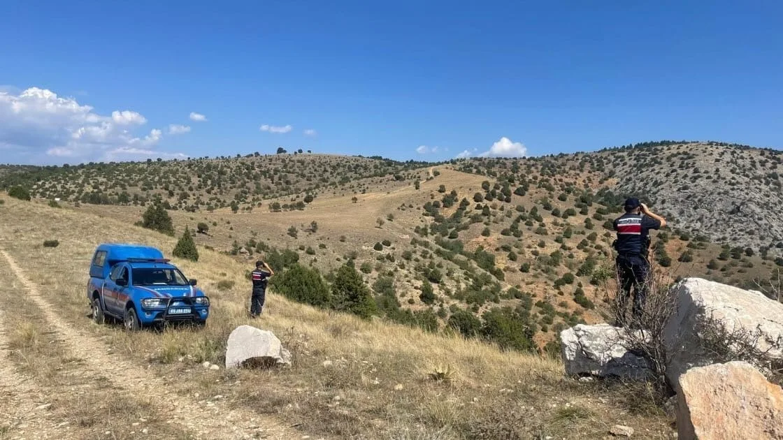 Kazankaya Kanyonu’nda Dağ Keçisi Hareketliliği: 20 Yeni Misafir