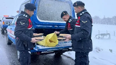 Yozgat İl Jandarma Komutanlığı, yoğun kar yağışı nedeniyle yiyecek bulmakta