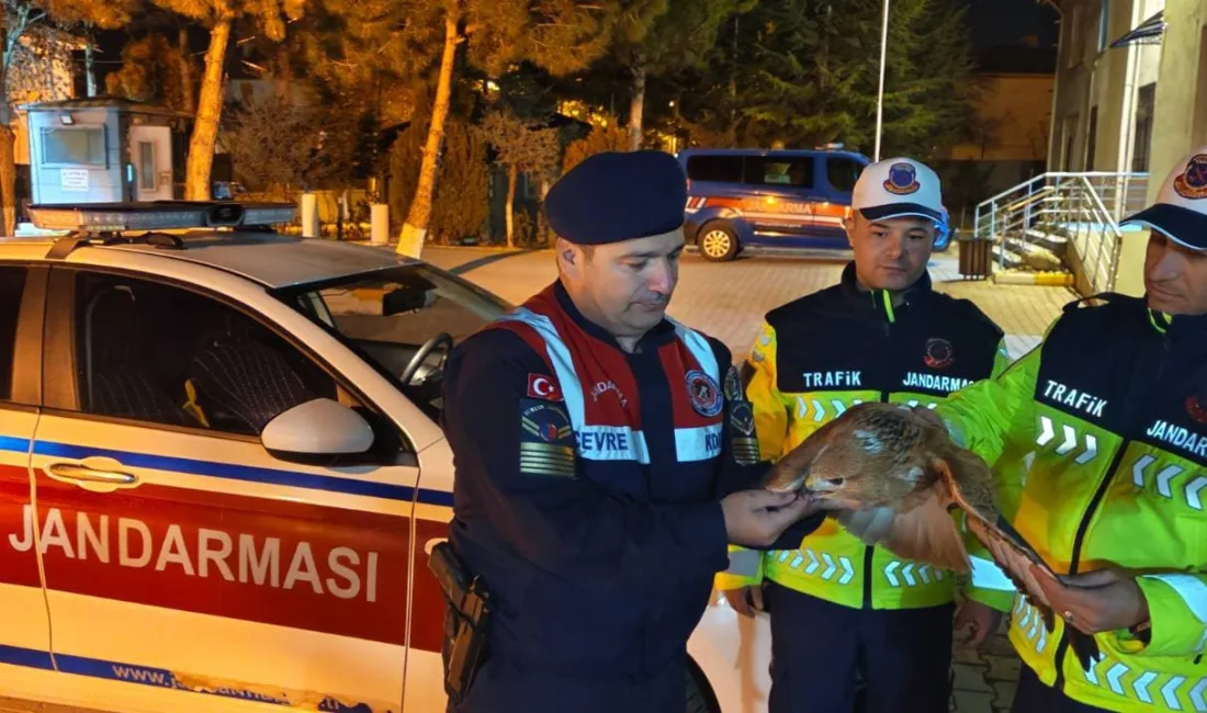 Yozgat-Boğazlıyan yolunda yapılan trafik