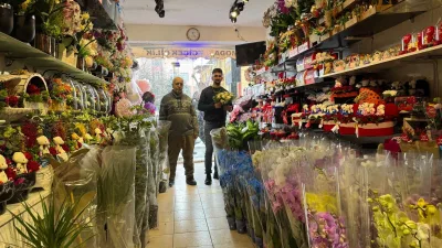 Moda Çiçekçilik, 14 Şubat Sevgililer Günü için orkide, gül buketleri,