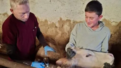 İl Tarım ve Orman Müdürlüğü, Yozgat genelinde 221 bin büyükbaş