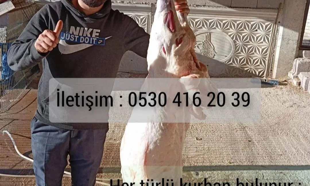 Boğazlıyan Ovakent Kasabasında faaliyet gösteren Zafer Adakçılık, müşterilerine uygun fiyatlarla