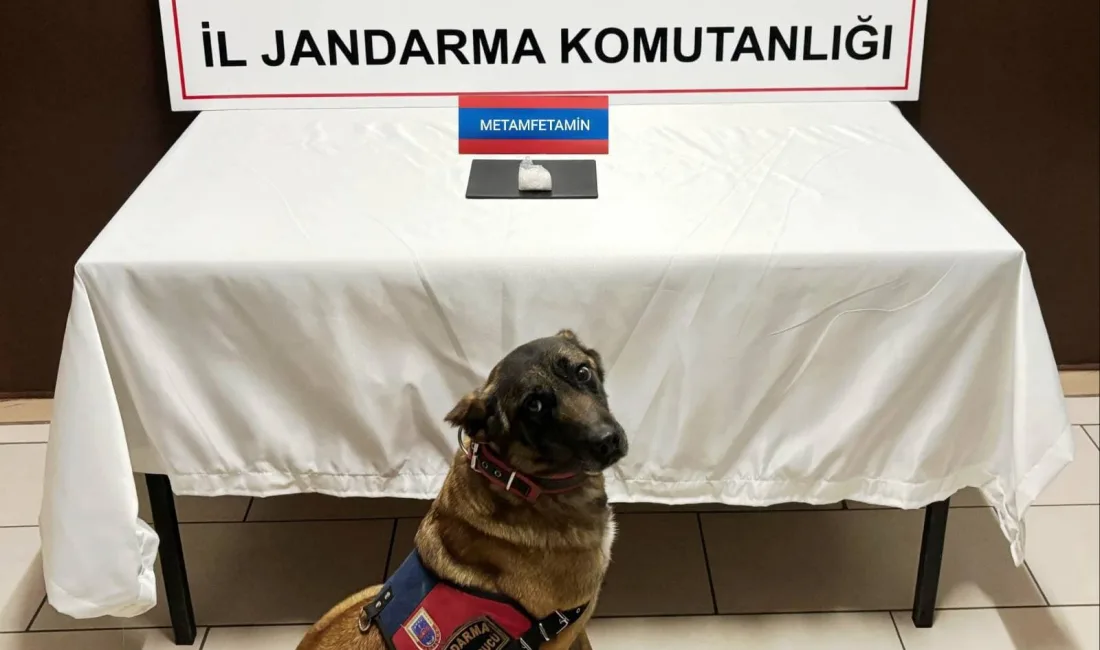  Boğazlıyan'da  jandarma ekiplerince durdurulan araçta 50,02 gram metamfetamin