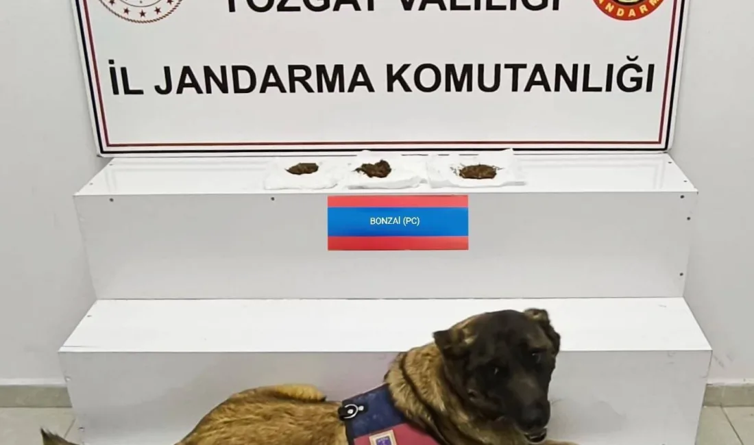 Jandarma ekiplerinin gerçekleştirdiği operasyonda, il dışından uyuşturucu getirmeye çalışan 3