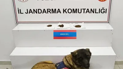 Jandarma ekiplerinin gerçekleştirdiği operasyonda, il dışından uyuşturucu getirmeye çalışan 3
