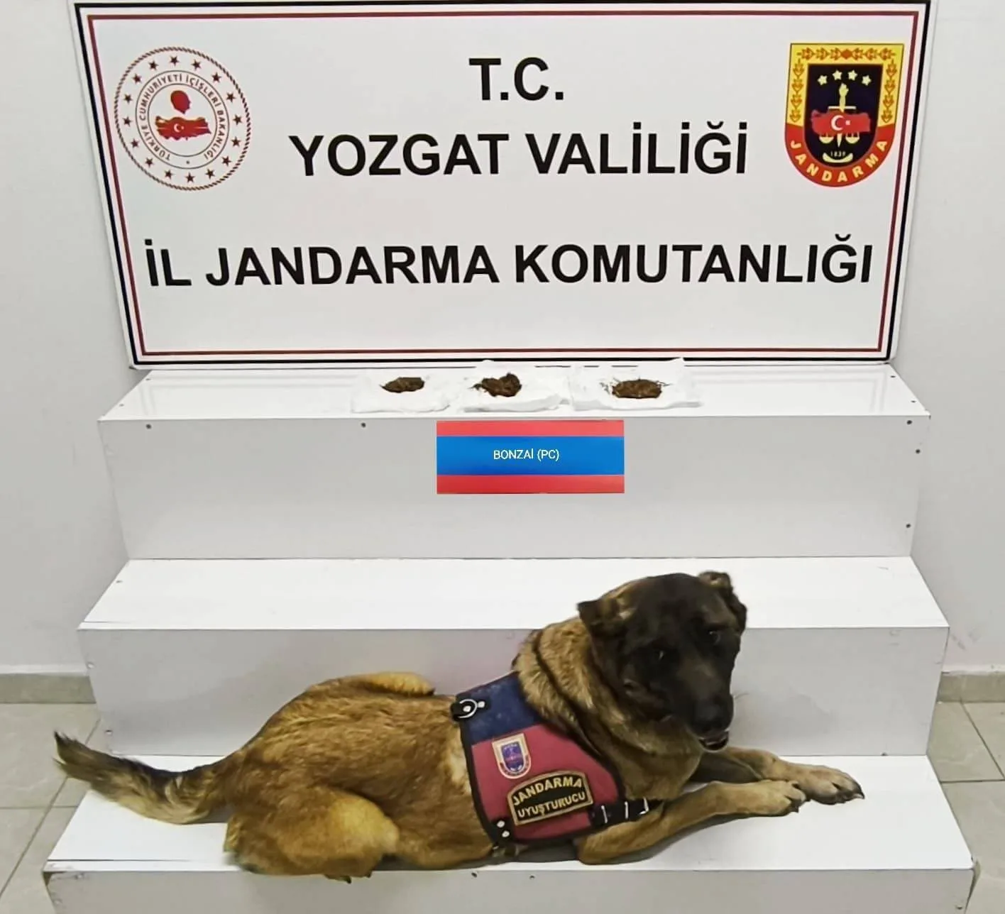 Jandarma ekiplerinin gerçekleştirdiği operasyonda, il dışından uyuşturucu getirmeye çalışan 3