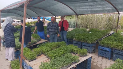 Köylüoğlu Fidancılık’ta domates, biber, patlıcan ve çilek fideleri bahar sezonunda
