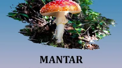 Yozgat Valiliği, doğada yetişen mantarların zehirli olabileceği konusunda vatandaşları uyardı