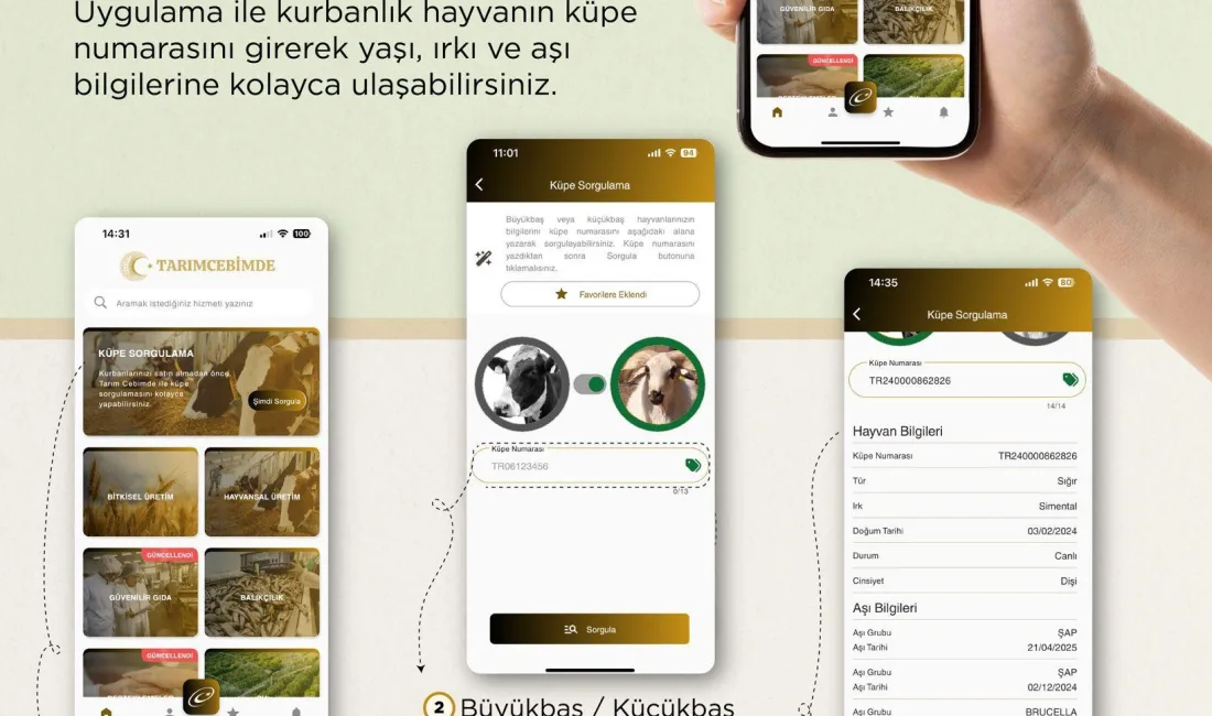 İlçe Tarım Müdürlüğü, “TarımCebimde” uygulamasıyla kurbanlık hayvanların yaş, ırk ve