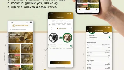 İlçe Tarım Müdürlüğü, “TarımCebimde” uygulamasıyla kurbanlık hayvanların yaş, ırk ve