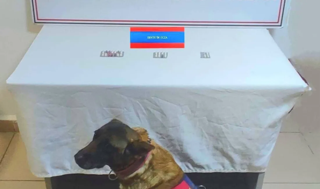 Yozgat'ta jandarma ekiplerinin titiz çalışması sonucu bir şahsın üzerinde ve
