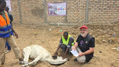 Yoğunhisar Köyü'nden Hacı Bekir Göğüş, Kurban Bayramı vesilesiyle Afrika'nın Çad