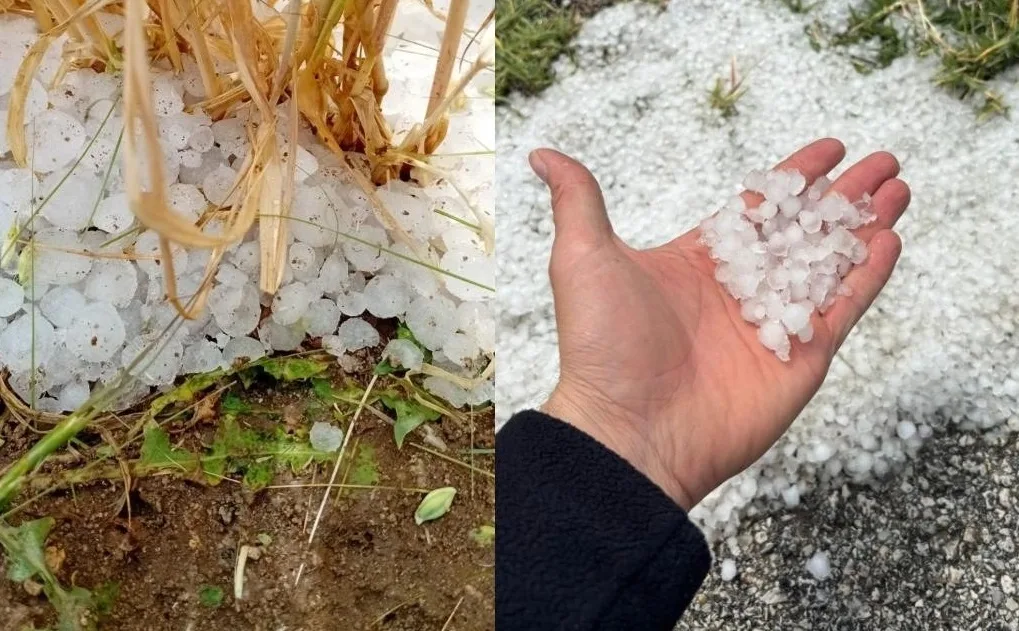 Yozgat’ta sağanak ve dolu yağışı tarım arazilerinde kısmi hasara neden