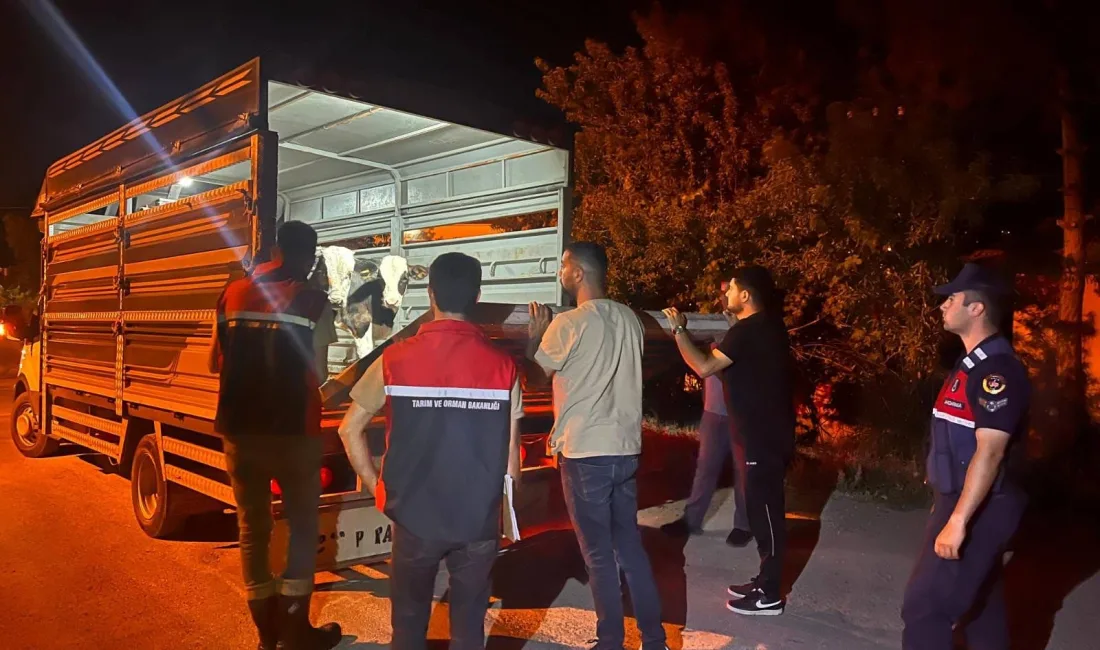 Yozgat Çayıralan’da şap hastalığı karantinasını delerek yasa dışı hayvan sevkiyatı