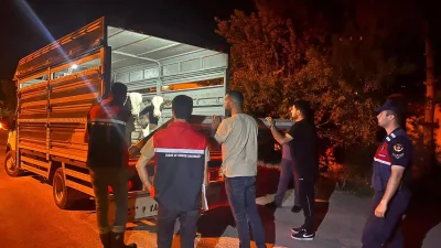 Yozgat Çayıralan’da şap hastalığı karantinasını delerek yasa dışı hayvan sevkiyatı