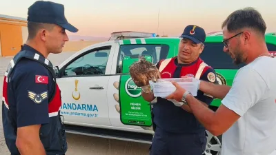 Boğazlıyan'da yaralı halde bulunan şahin, Jandarma ekipleri tarafından Milli Parklar