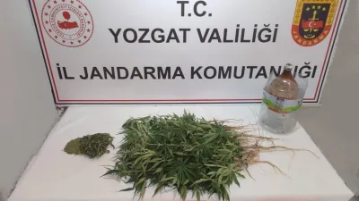 Yozgat’ın Şefaatli ilçesinde bir eve düzenlenen uyuşturucu operasyonunda, 40 kök