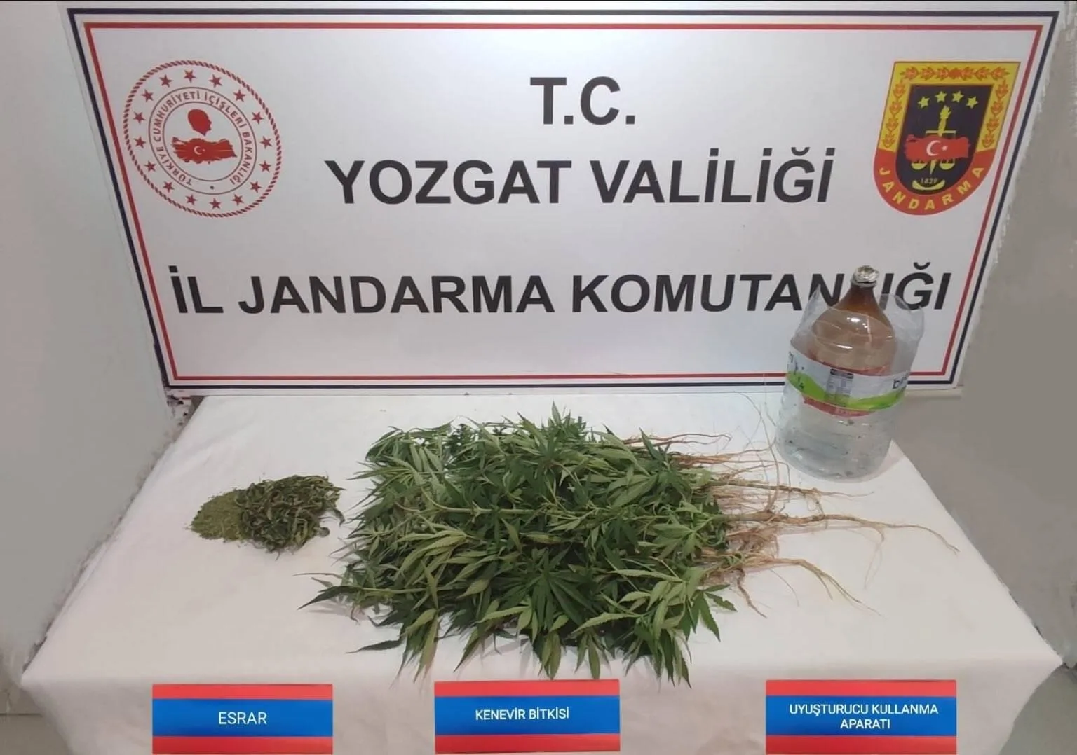 Yozgat’ın Şefaatli ilçesinde bir eve düzenlenen uyuşturucu operasyonunda, 40 kök