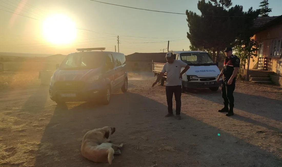 Yenipazar’da başıboş köpeğin saldırısına uğrayan 8 yaşındaki çocuk, tetanoz aşısı