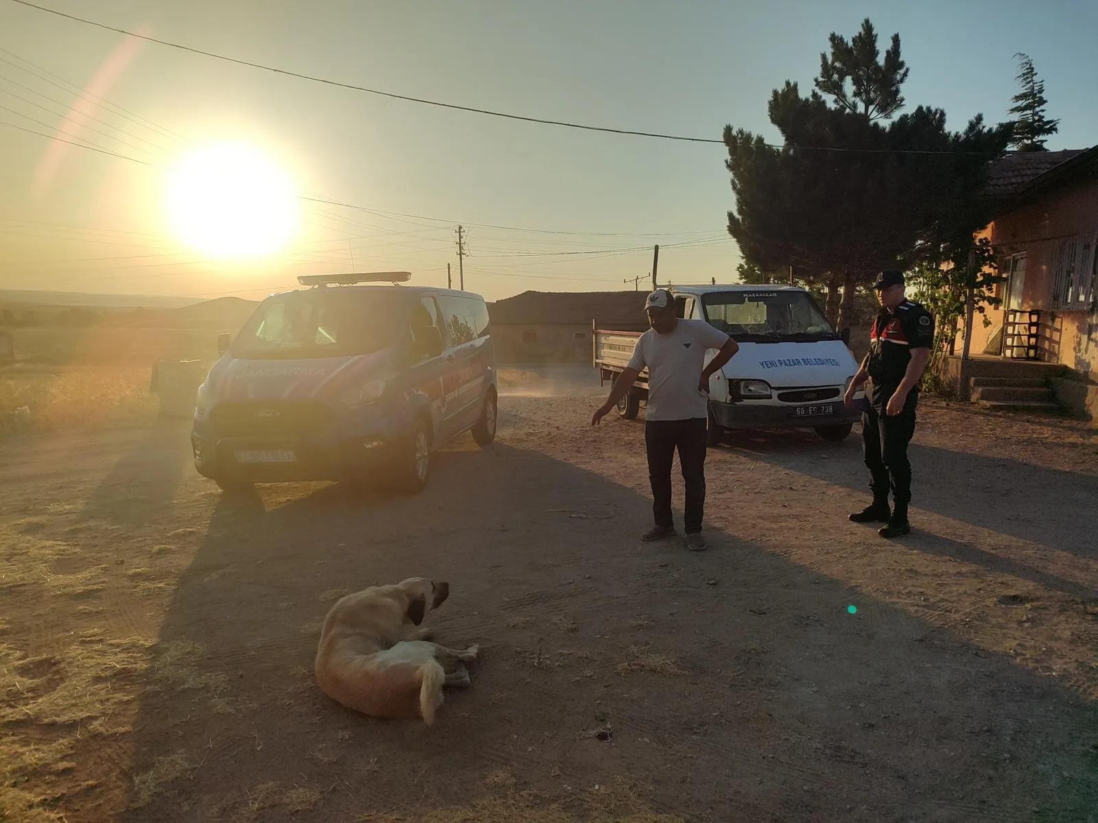 Yenipazar’da başıboş köpeğin saldırısına uğrayan 8 yaşındaki çocuk, tetanoz aşısı