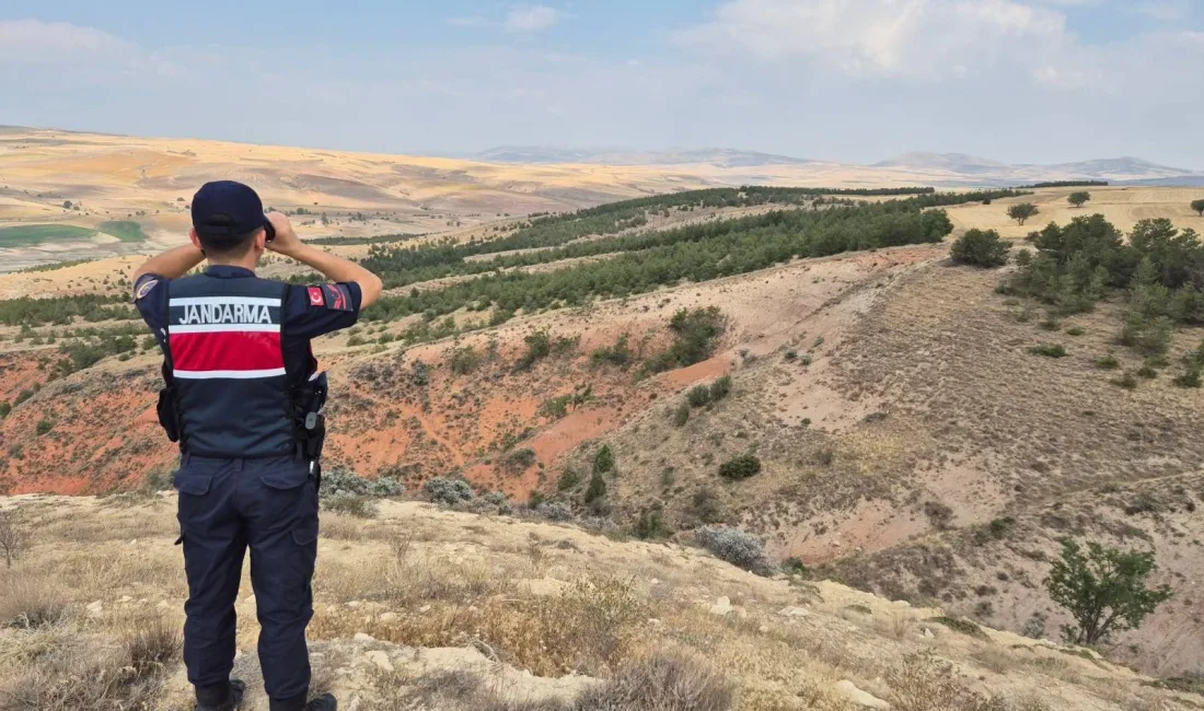 Orman yangınlarına karşı tedbir amacıyla sahaya inen jandarma, hem kontroller