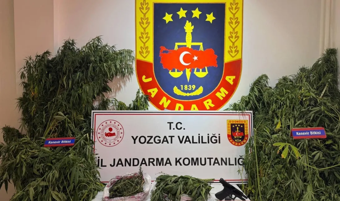 Yozgat’ın Şefaatli ilçesinde jandarma ekipleri, bir köy evine düzenledikleri operasyonda