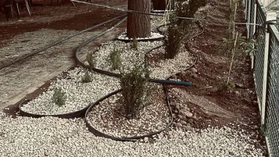 Sırçalı Kasabası Belediyesi, meydanda gerçekleştirdiği lavanta ve biberiye dikimiyle hem