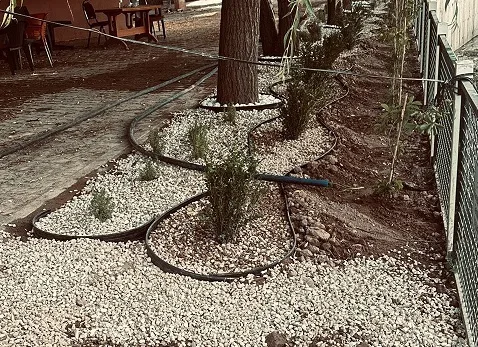 Sırçalı Kasabası Belediyesi, meydanda gerçekleştirdiği lavanta ve biberiye dikimiyle hem