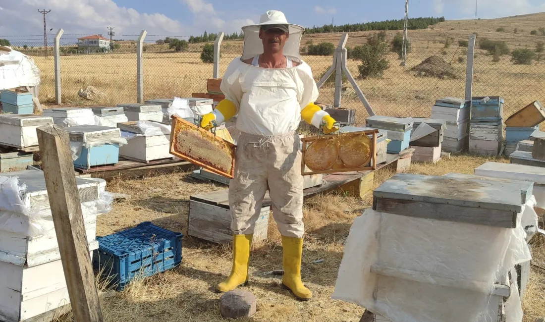 Tekkelili balcı Bülent Yürekli, Sırçalı Dağı eteklerinde yaklaşık 100 kovanıyla