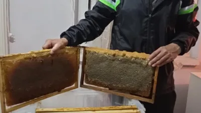 Sırçalı Dağı’nın eteklerinde yaklaşık 100 kovanla arıcılık yapan Tekkelili balcı