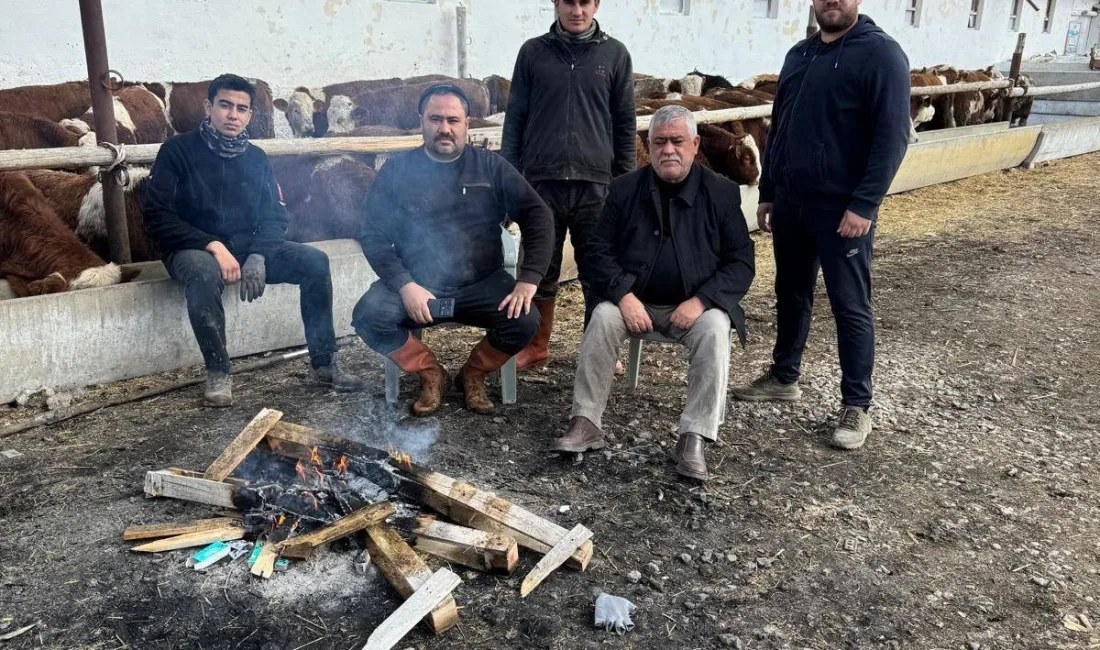 Erdemler Tarım ve Hayvancılık, günlük doğal camız sütü, inek sütü