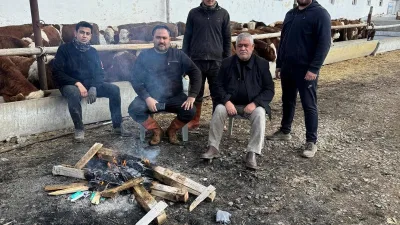 Erdemler Tarım ve Hayvancılık, günlük doğal camız sütü, inek sütü