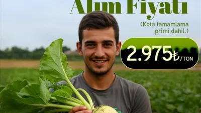 TÜRKŞEKER, 2025-2026 üretim yılı için şeker pancarı baz alım fiyatını