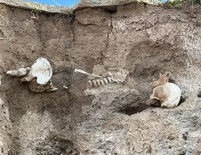 Boğazlıyan'da, yağış sonrası toprak altından insan kemikleri ortaya çıktı. Olay