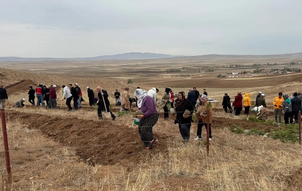 Boğazlıyan Kaymakamlığı öncülüğünde, 11 Kasım Milli Ağaçlandırma Günü kapsamında Çalapverdi