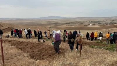 Boğazlıyan Kaymakamlığı öncülüğünde, 11 Kasım Milli Ağaçlandırma Günü kapsamında Çalapverdi