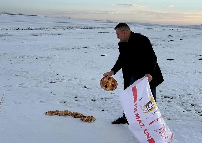 Boğazlıyan Yapalak Köyü Muhtarı Sinan Toklucu, kış şartlarında doğadaki hayvanlar
