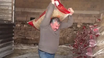 Boğazlıyan’da çiftçilik ve hayvancılık yapan İbrahim Tamer, işçi bulamayınca kamyon