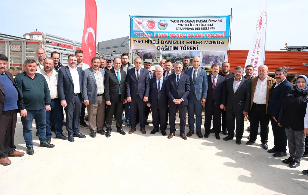 Yozgat’ta hayata geçirilen Manda Islah Projesi kapsamında 20 yetiştiriciye damızlık