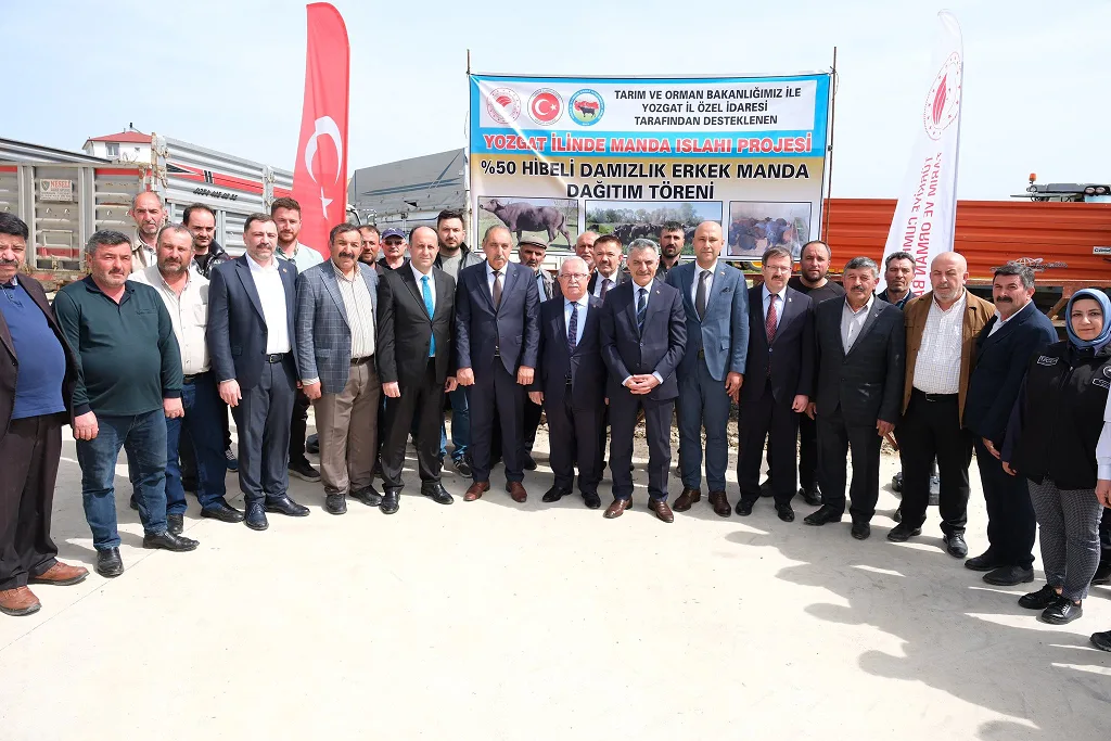 Yozgat’ta hayata geçirilen Manda Islah Projesi kapsamında 20 yetiştiriciye damızlık