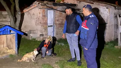 Yamaçlı beldesinde çalındığı ihbar edilen Terrier cinsi köpek, jandarma ekiplerinin