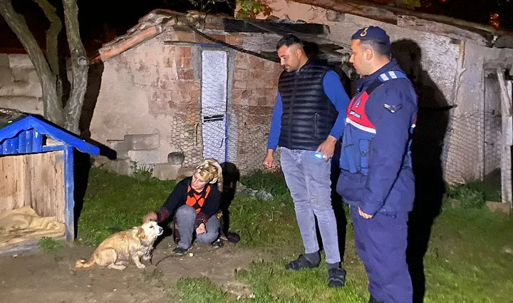 Yamaçlı beldesinde çalındığı ihbar edilen Terrier cinsi köpek, jandarma ekiplerinin