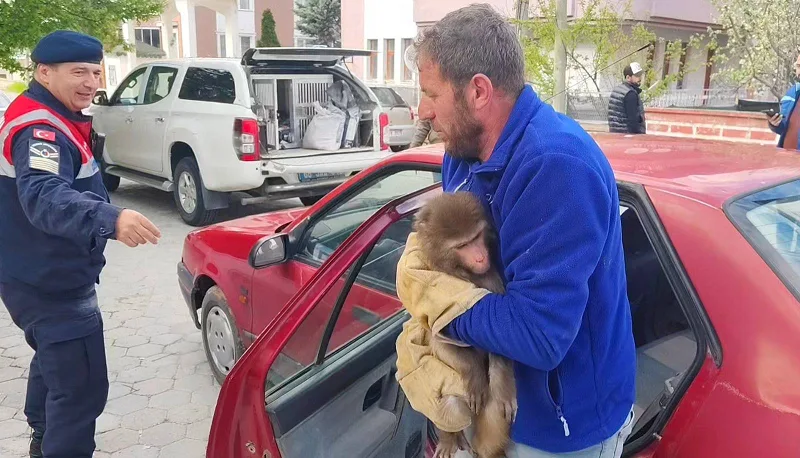 Sarıkaya ilçesinde yol kenarında görülen ve vatandaşların ihbarı üzerine bulunan