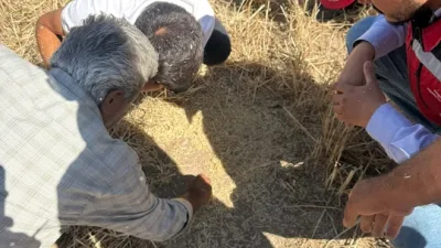 Boğazlıyan İlçe Tarım ve Orman Müdürlüğü ekipleri, arpa ve buğday