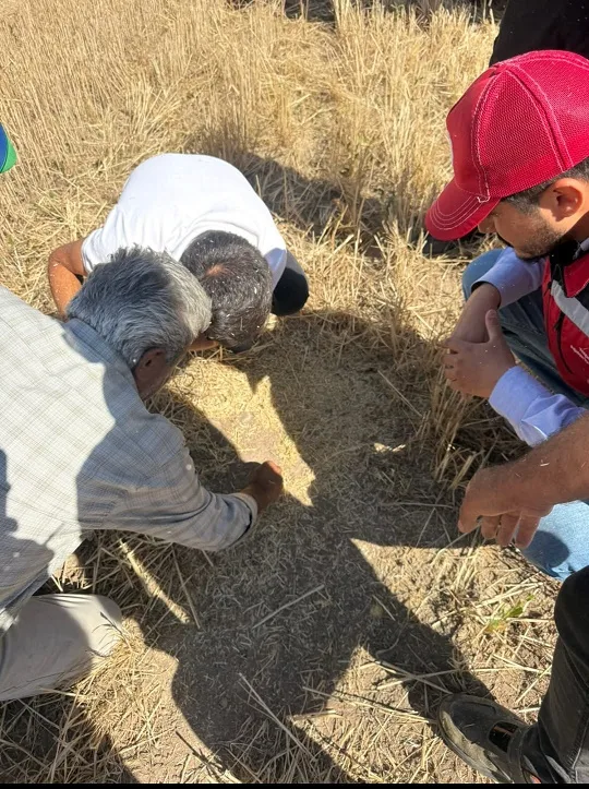 Boğazlıyan İlçe Tarım ve Orman Müdürlüğü ekipleri, arpa ve buğday